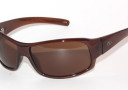 Impulse 550 - Brown Frame With Brown Lens