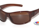 Impulse 550P - Brown Frame With Polorized Brown Lens